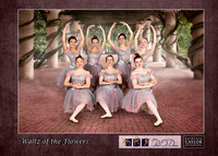 Ballet 4-5 Waltz of the Flowers